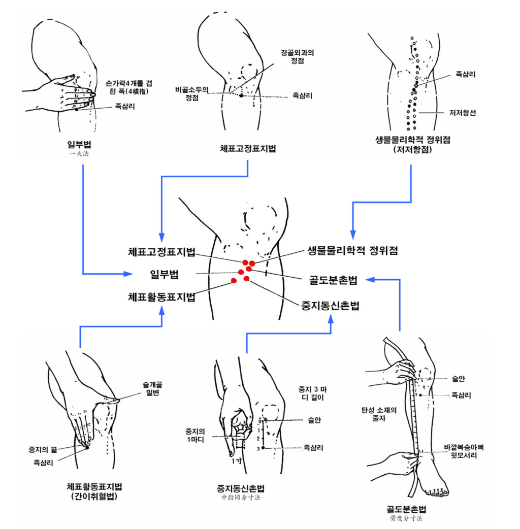 족삼리 이미지