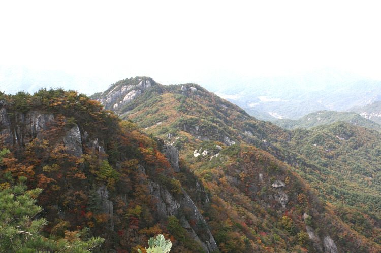 괴산중학교 이미지