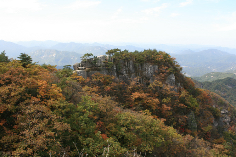괴산중학교 이미지