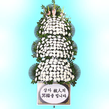김종모 이미지