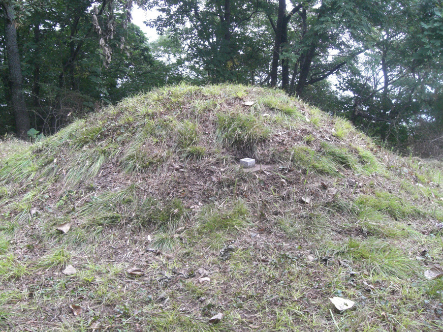 서오리 이미지