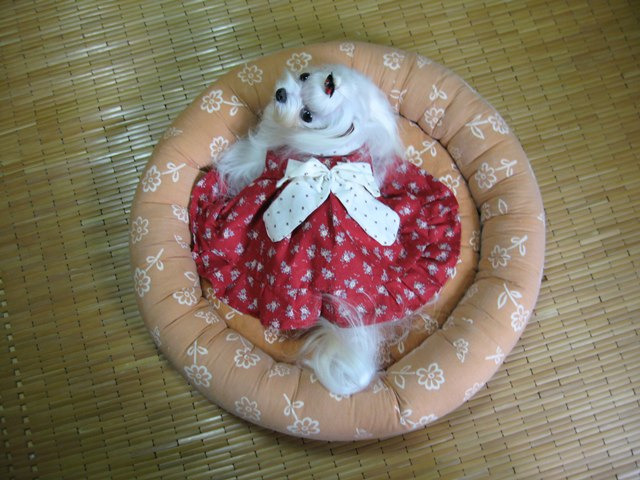 단비 이미지