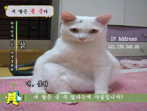 피식 이미지